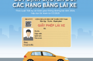 Cập nhật các loại bằng lái xe ô tô năm 2025: Có gì thay đổi?