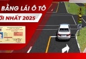 Thi trượt mấy lần thì phải học lại? Làm sao để nhớ nhanh 600 câu lý thuyết lái xe ô tô?